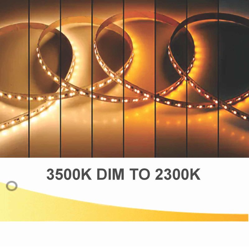 Ταινία LED Jazz DIM TO WARM 3500K-2300K 14,4 Watt 24V CRI90 IP20 120LED/m 5m -  Τεμ.