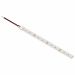 Ταινία LED TΩRA 4,8 Watt/m 24V CRI80 IP67 120 led/m 6000K 5m (10,4mm) -  Τεμ.